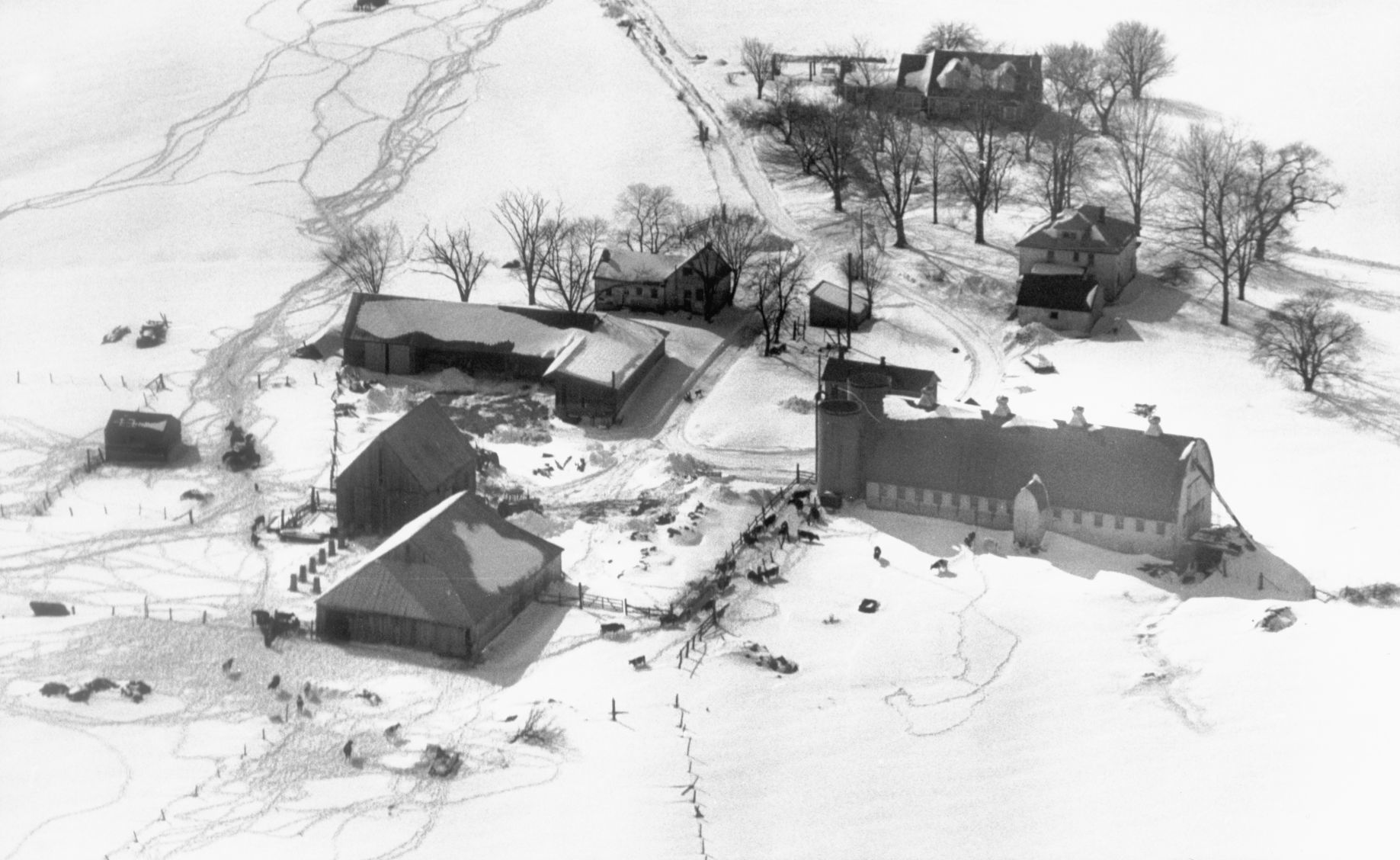 3. Feb. 10-11, 1983